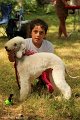 2012-07-01 B & B - Bedlington & Bichon Fun Day (314)_1000x1500